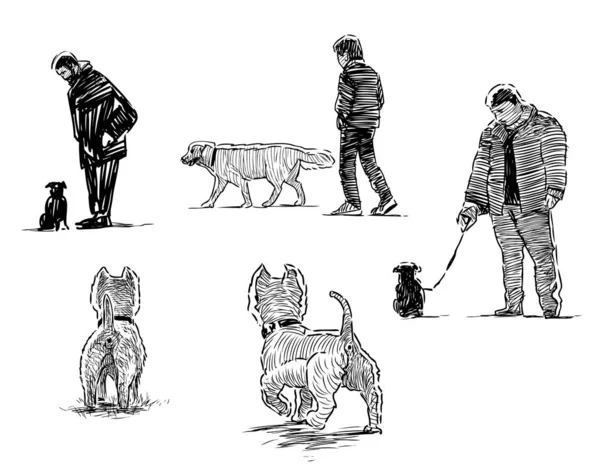 Σκίτσα Σκύλων Πόδια Τους Ιδιοκτήτες Τους — Διανυσματικό Αρχείο