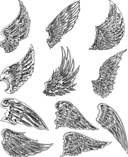 各种神话般的翅膀的一组轮廓的矢量图像 — 图库矢量图片#