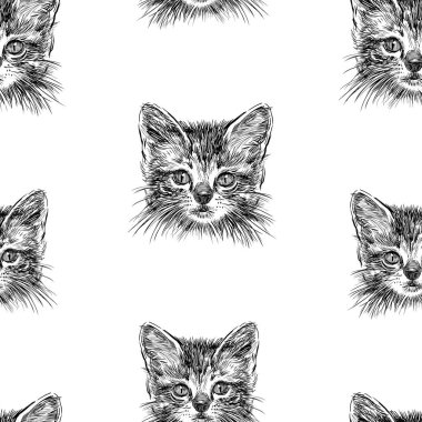 Küçük bir kedi nin başının çizimlerinin kusursuz arka planı
