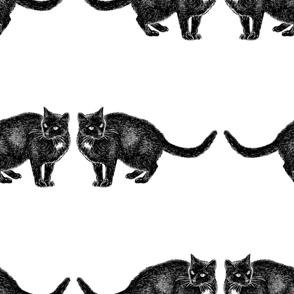 Fondo Sin Costuras Bocetos Gatos Negros — Archivo Imágenes Vectoriales