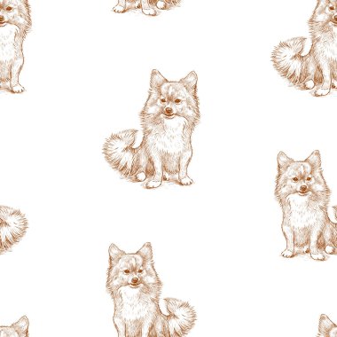 Oturan tükürük köpeğinin kusursuz çizimleri