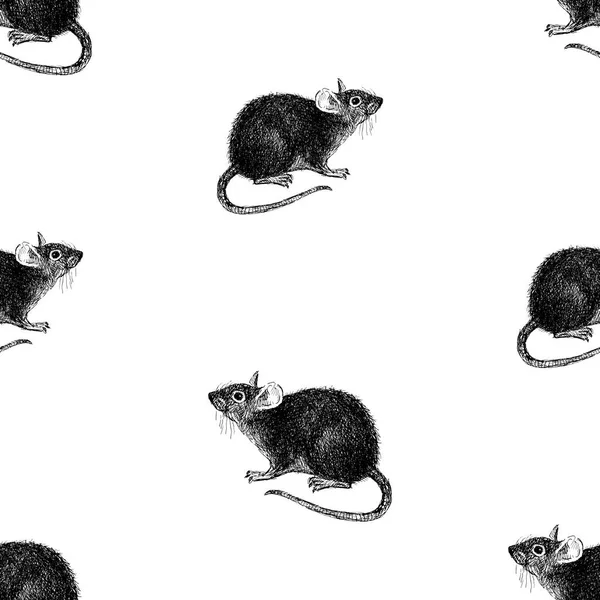 Latar Belakang Tak Berjahit Dari Sketsa Tikus Telinga Hitam - Stok Vektor
