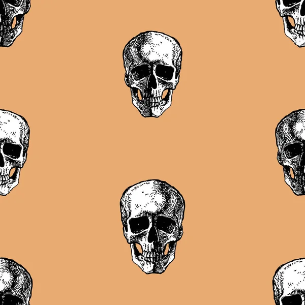 人間の頭蓋骨のスケッチのシームレスなパターン — ストックベクタ
