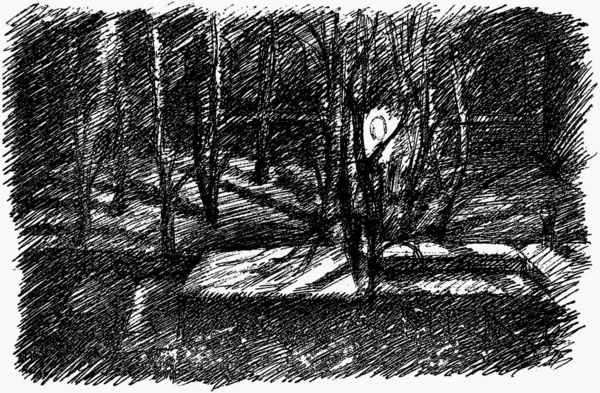 Image Vectorielle Paysage Abstrait Parc Urbain Nocturne — Image vectorielle