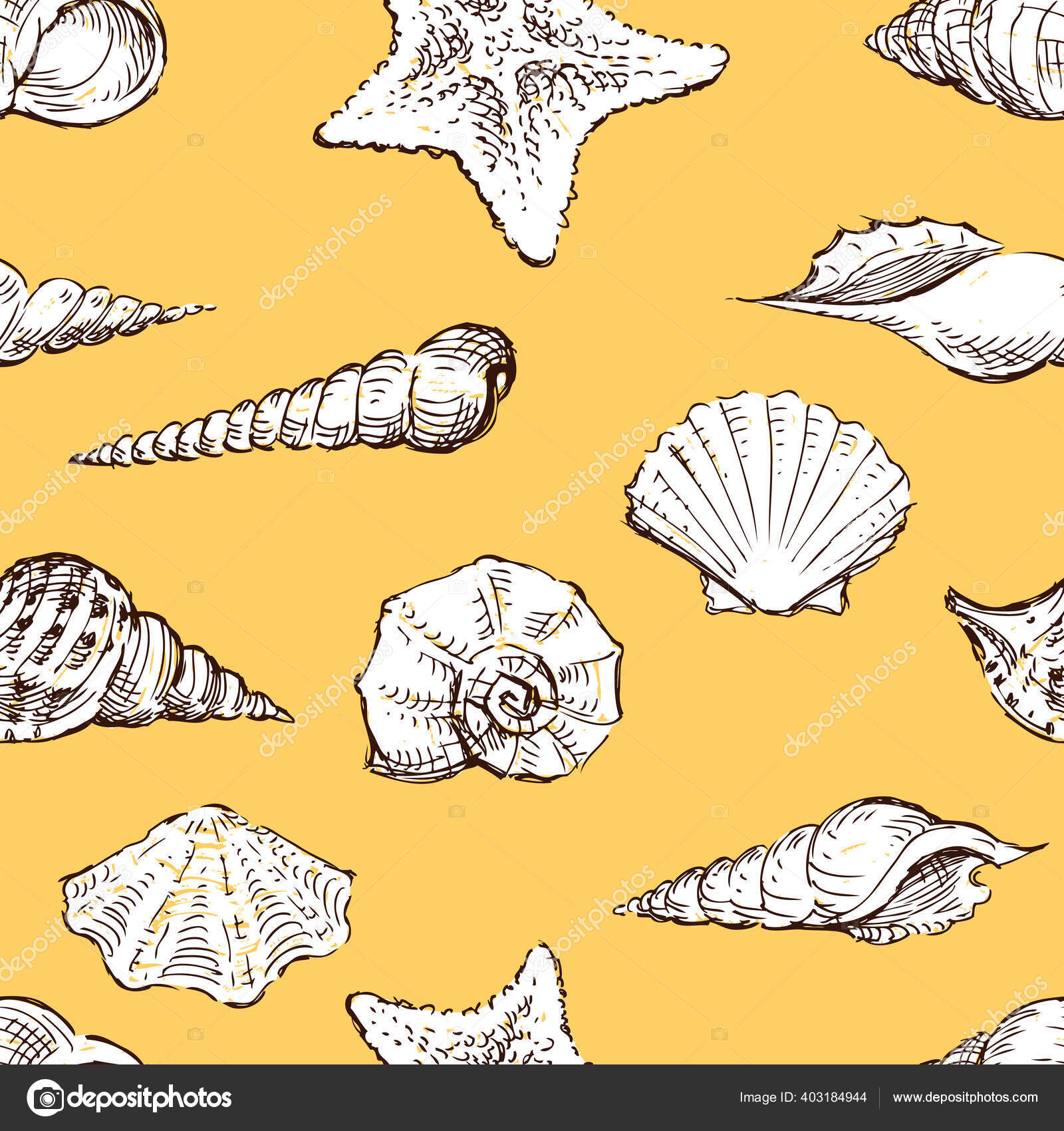 Pola Sketsa Yang Tidak Beraturan Beragam Kerang Laut Stok Vektor C Samakarov Mail Ru 403184944