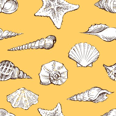 Çizimlerin kusursuz deseni çeşitli deniz kabukları