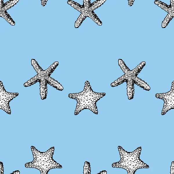 Padrão Sem Costura Esboços Starfishes — Vetor de Stock