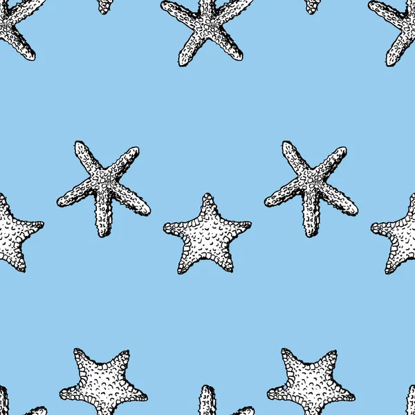 Patrón Inconsútil Bocetos Estrellas Mar — Vector de stock