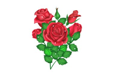 Sevgililer günü ve Doğum günü beyaz arka plan üzerinde buket gül