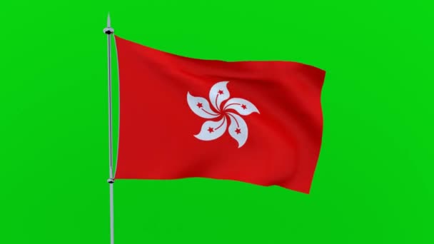 香港国旗在绿色背景上飘扬 — 图库视频影像
