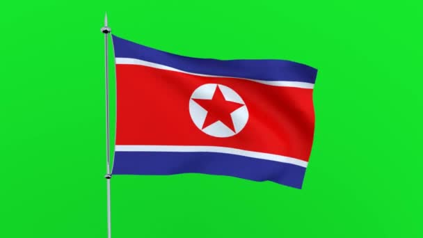 Bandeira País Korea Flutters Fundo Verde Renderização — Vídeo de Stock