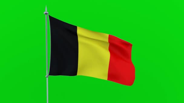 Flagge Des Landes Belgien Flattert Auf Grünem Hintergrund Darstellung — Stockvideo