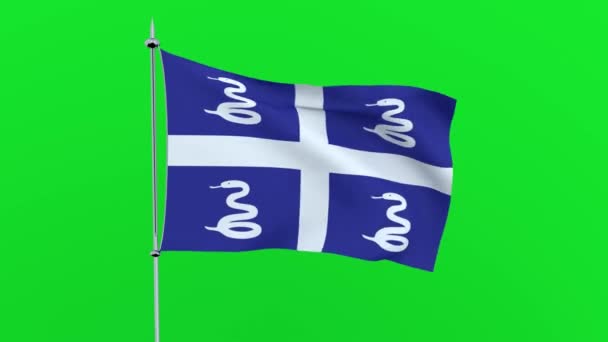 国家的国旗马提尼克岛在绿色背景飘扬 — 图库视频影像