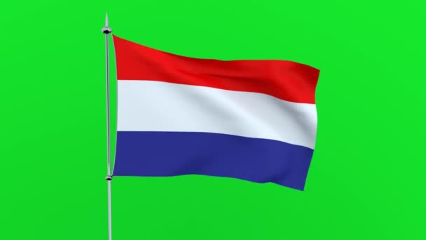 Flag Country Netherlands Flutters Green Background Rendering — Stock Video