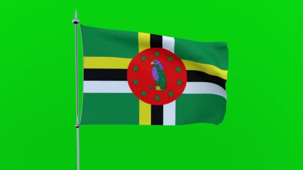 Σημαία Της Χώρας Δομίνικα Φτερουγίζει Πράσινο Φόντο Rendering — Αρχείο Βίντεο