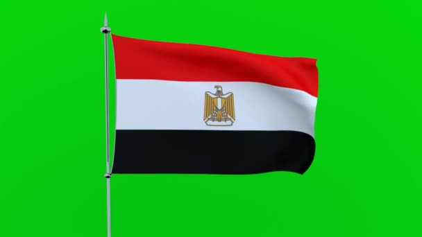 Флаг Страны Египет Развевается Зеленом Фоне Рендеринг — стоковое видео