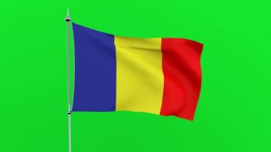 Ülkenin bayrağı yeşil arka planda Romanya çırpınıyor. 3B işleme