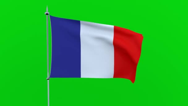 法国国家的旗子在绿色背景飘动 — 图库视频影像