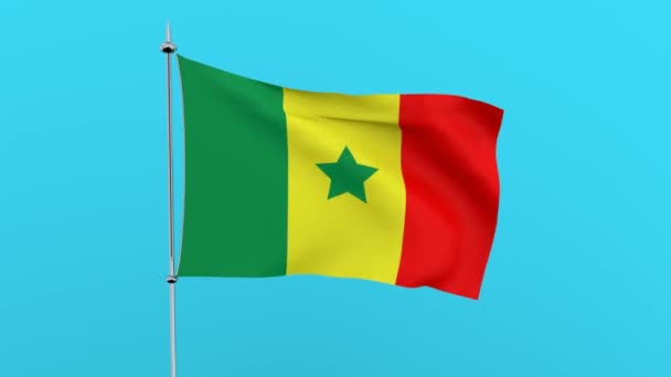 Ülke Bayrağı Senegal Mavi Arka Planda Çırpınıyor Işleme — Stok video