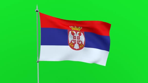 国家的旗子塞尔维亚在绿色背景飘动 — 图库视频影像