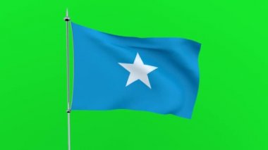 Ülkenin bayrağı yeşil arka planda Somali çırpınıyor. 3B işleme