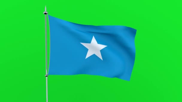 Flagga Landet Somalia Fladtrar Grön Bakgrund Rendering — Stockvideo