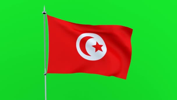 Vlag Van Het Land Tunesië Groene Achtergrond Rendering — Stockvideo