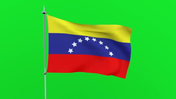 Bandeira País Venezuela Fundo Verde Renderização — Vídeo de Stock