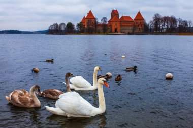 Trakai kale Litvanya'da korunmuş eski kaleler büyük. Bulunan Litvanyalı prenslerin antik residence - Trakai şehir.