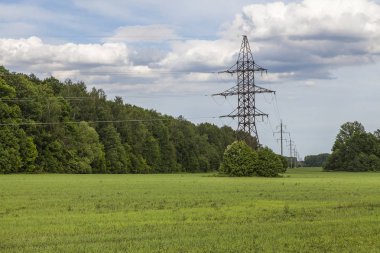 Orman ile çevrili yeşil bir alanda elektrik pillleri.