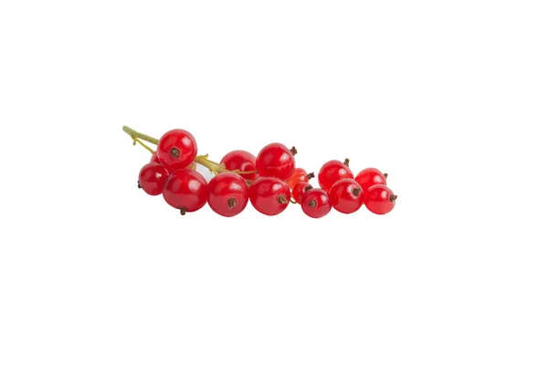 Bunch Ripe Red Currants White Isolated Background — Stock Photo, Image