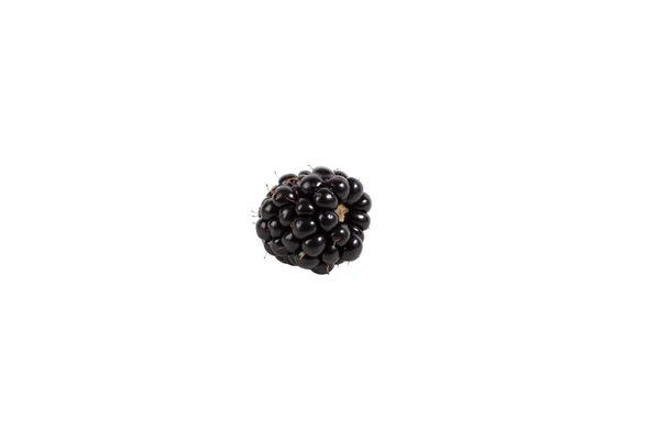 Amadurecer Jardim Blackberry Berry Fundo Isolado Branco — Fotografia de Stock