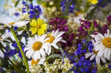 Arka plan görüntüsü - renkli kır çiçekleri bir buket.