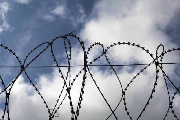 mavi gökyüzü nün arka planında dikenli tel