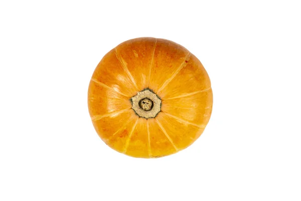 Bright Orange Pumpkin White Isolated Background Top View — 스톡 사진