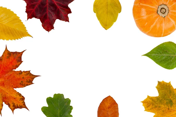 Herbst Komposition Weißer Hintergrund Umrahmt Von Bunten Blättern Und Früchten — Stockfoto
