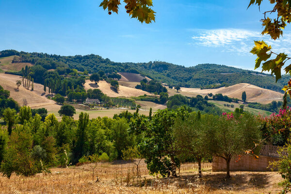 Picturesque Italian landscape - hills covered with forest, blue sky in light clouds