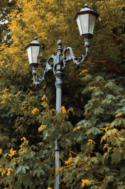 An old wrought iron street lamp stands on a background of green foliage in the rays of the setting sun