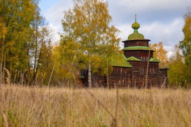 An old Orthodox church from time-blackened logs with a green roof and domes stands in a field among trees
