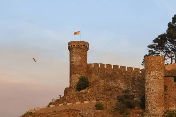 Starożytny Mur Obronny Wieżą Strażniczą Mieście Tossa Mar Hiszpania — Zdjęcie stockowe