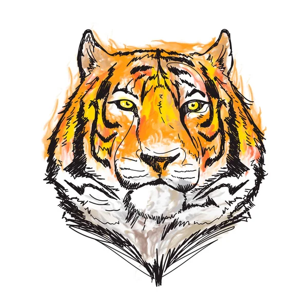 素晴らしい虎の水彩ベクトルイラスト — ストックベクタ