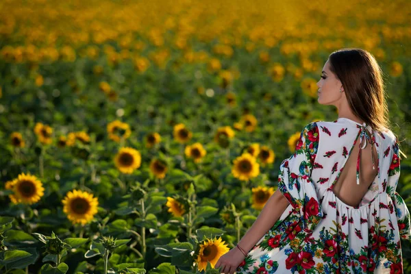 Schöne Junge Mädchen Posiert Bei Sonnenuntergang Einem Sonnenblumenfeld — Stockfoto