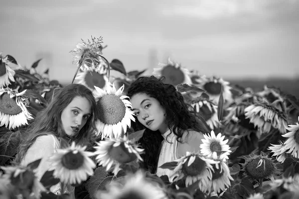 Meninas Bonitas Posando Pôr Sol Campo Girassol — Fotografia de Stock