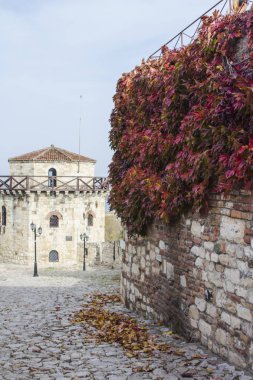Belgrad Kalesi içinde kırmızı yabani üzüm ile büyümüş bir antik duvar. Sırbistan