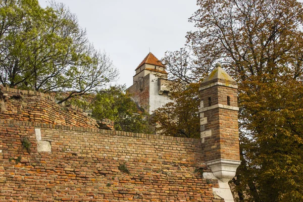 Zabytkowe Mury Twierdzy Belgrad Serbia — Zdjęcie stockowe