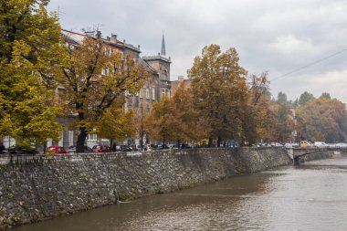 Saraybosna'da Miljacka Nehri'nin setin sonbaharda. Bosna Hersek