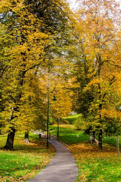 Jesienny Park Sarajewie Bośnia Hercegowina — Zdjęcie stockowe