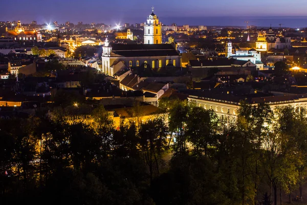 Gece yüksek noktadan Vilnius görünümü. Litvanya