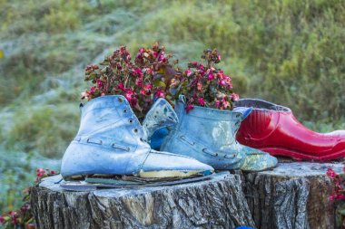 Orijinal çiçek tarhı Trakai eski ayakkabı yapılır. Litvanya.