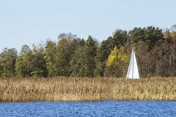 Navega Sobre Una Caña Lago Galve Trakai Lituania — Foto de Stock